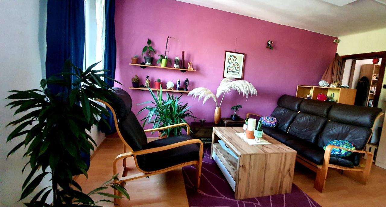 Entire House In The Heart Of Kozana Apartment Dobrovo Luaran gambar