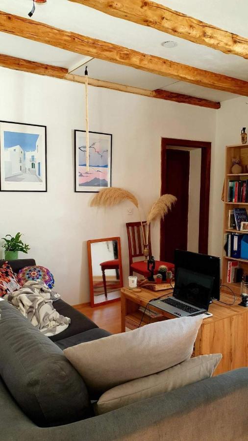 Entire House In The Heart Of Kozana Apartment Dobrovo Luaran gambar